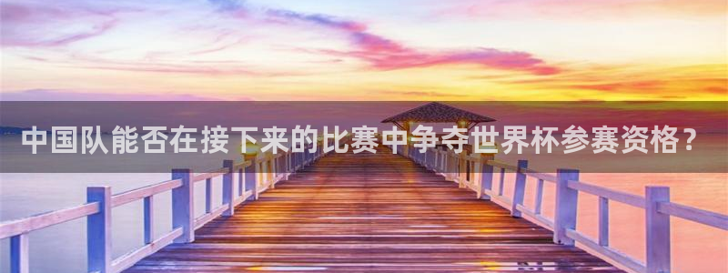 世界杯视频：中国队能否在接下来的比赛中争夺世界杯参赛资格？