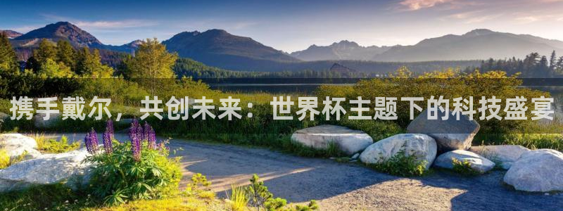 2026世界杯小组赛赛程时间表：携手戴尔，共创未来：世界杯主题下的科技盛宴