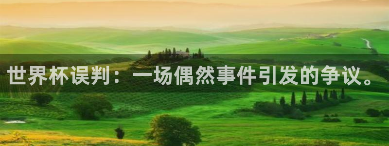 2026世界杯赛程：世界杯误判：一场偶然事件引发的争议。