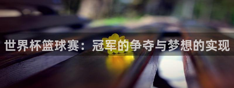 世界杯比赛：世界杯篮球赛：冠军的争夺与梦想的实现