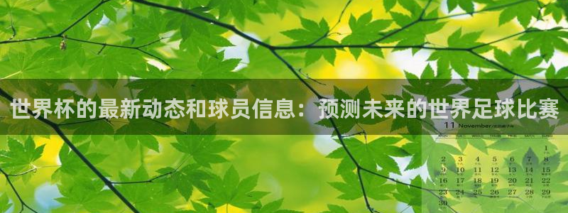 世界杯2026赛制：世界杯的最新动态和球员信息：预测未来的世界足球比赛