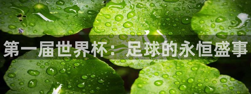 世界杯第一场比赛：第一届世界杯：足球的永恒盛事