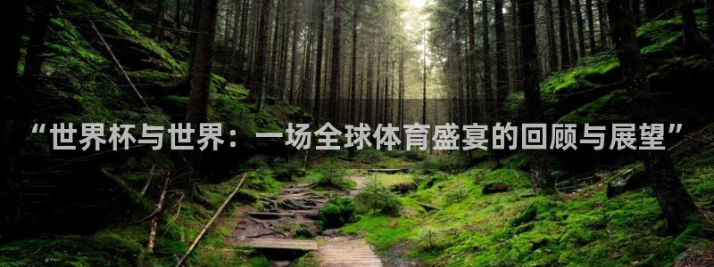 2026世预赛全部赛程：“世界杯与世界：一场全球体育盛宴的回顾与展望”