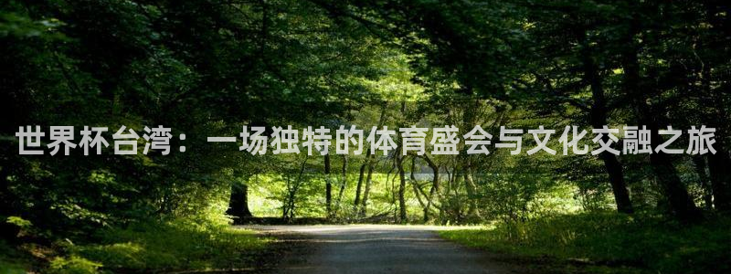 2026世界杯赛程表完整版：世界杯台湾：一场独特的体育盛会与文化交融之旅