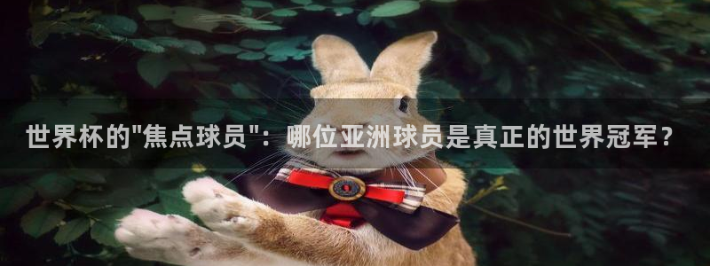 世界杯预选赛规则：世界杯的\