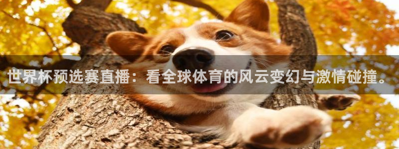 2026世界杯南美区积分榜：世界杯预选赛直播：看全球体育的风云变幻与激情碰撞。