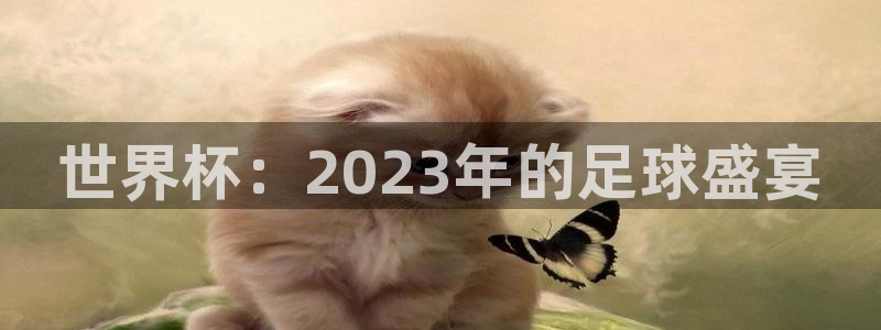 2026世界杯赛程表完整版：世界杯：2023年的足球盛宴