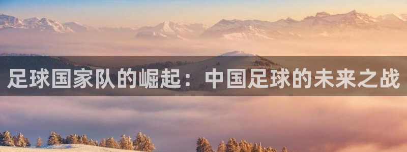 2026世界杯直播免费观看：足球国家队的崛起：中国足球的未来之战