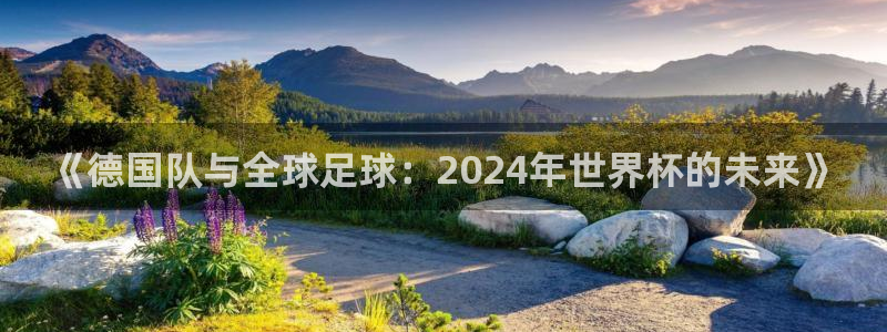 2026世界杯赛程时间表最新：《德国队与全球足球：2024年世界杯的未来》