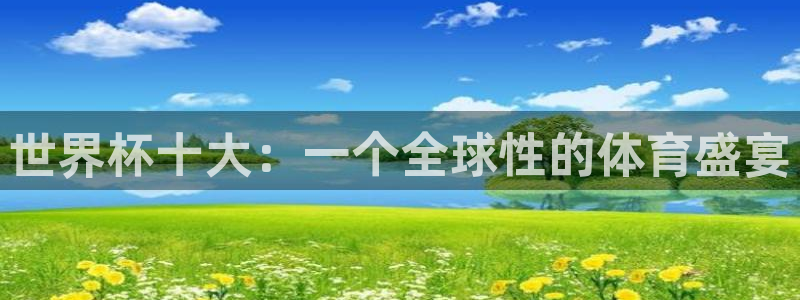 世界杯预选赛排名：世界杯十大：一个全球性的体育盛宴