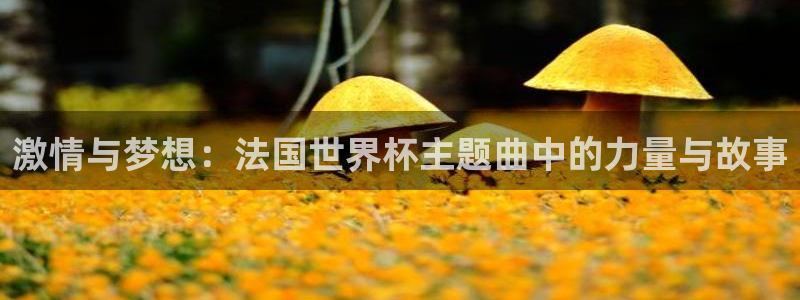 世界杯今年：激情与梦想：法国世界杯主题曲中的力量与故事