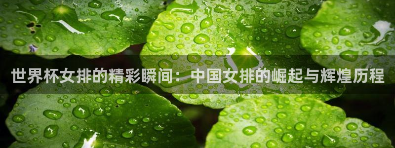 世界杯亚洲区预选赛赛程表：世界杯女排的精彩瞬间：中国女排的崛起与辉煌历程