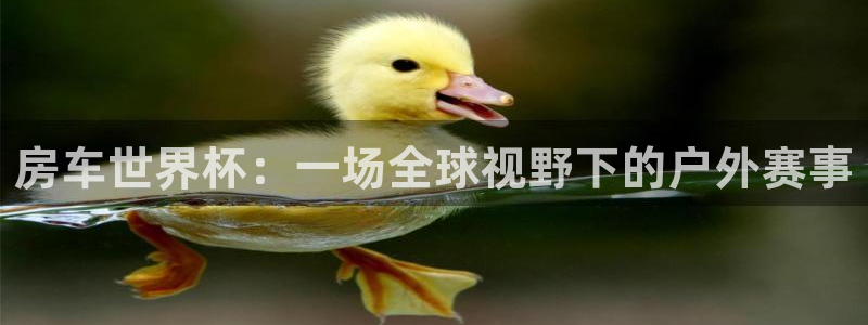 葡萄牙世界杯赛程：房车世界杯：一场全球视野下的户外赛事