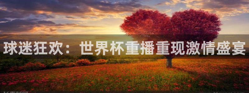 中国 世界杯：球迷狂欢：世界杯重播重现激情盛宴